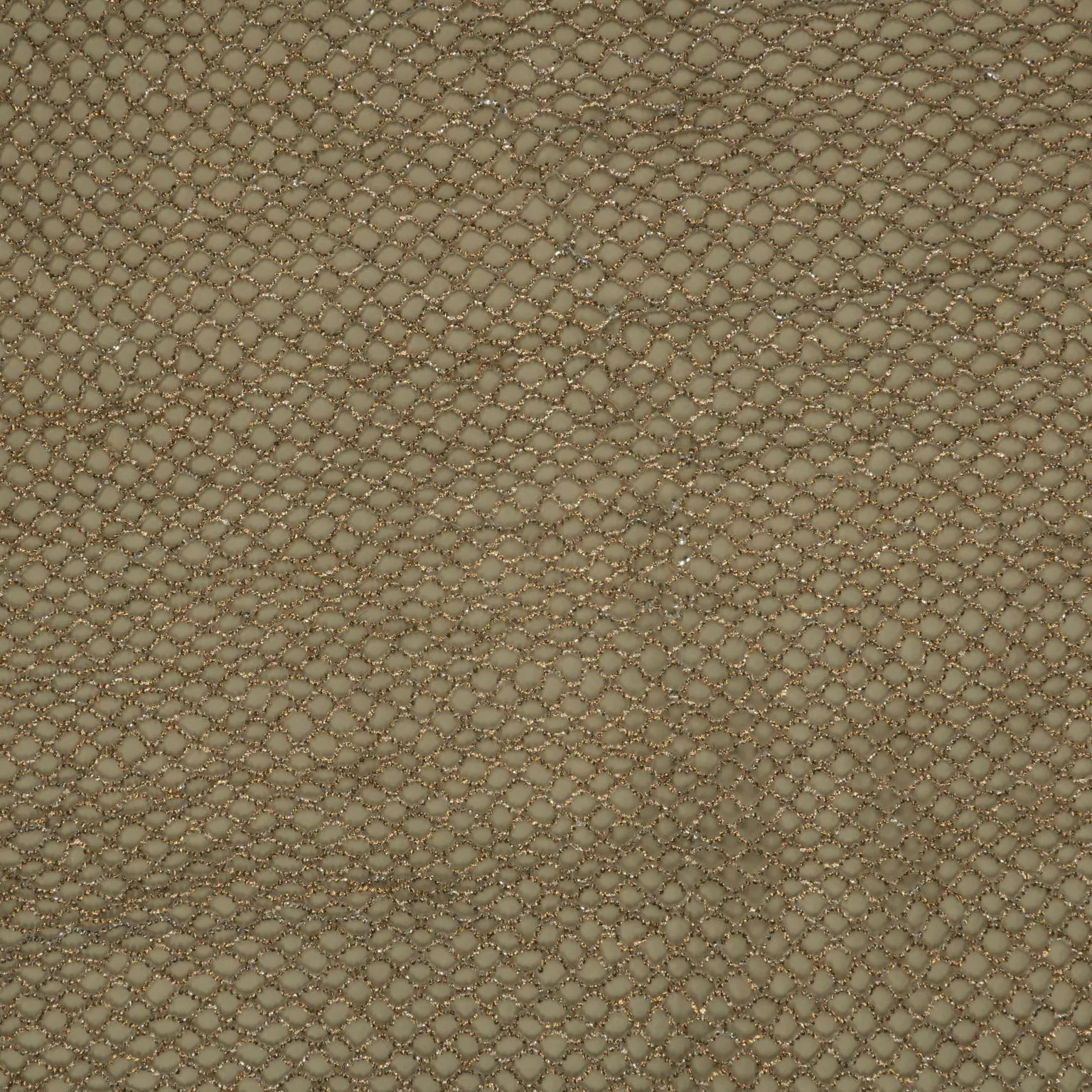 Beige Crystal Embroidered Net Fabric